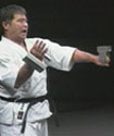 Ishi sashi