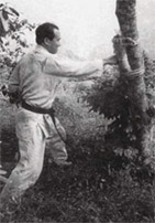 Mas Oyama training makiwara